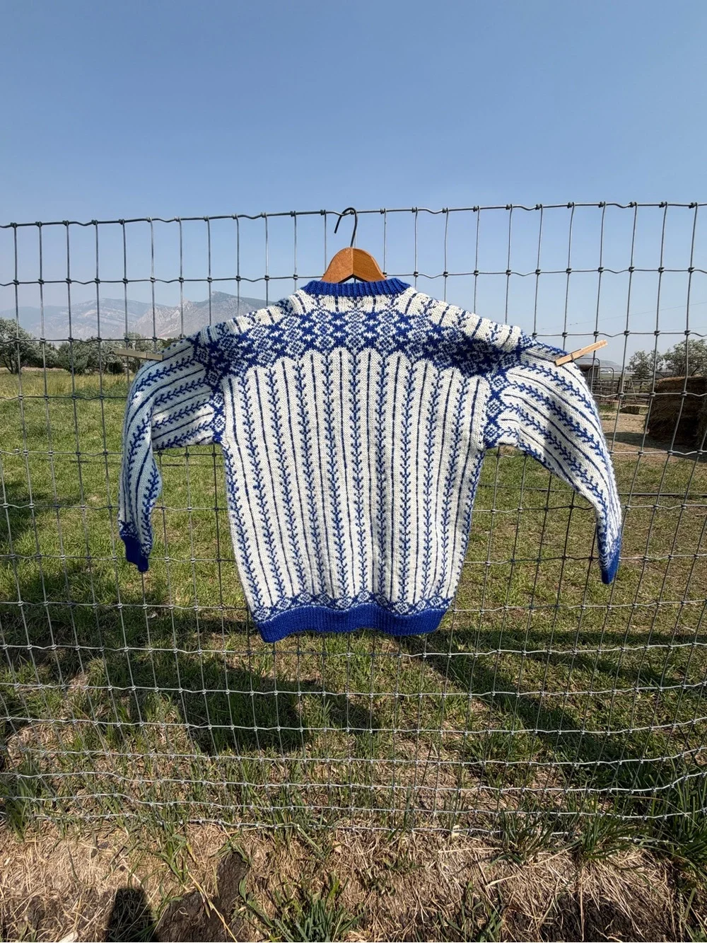 Blue and White Nordic Knit Button-Up Sweater - women’s